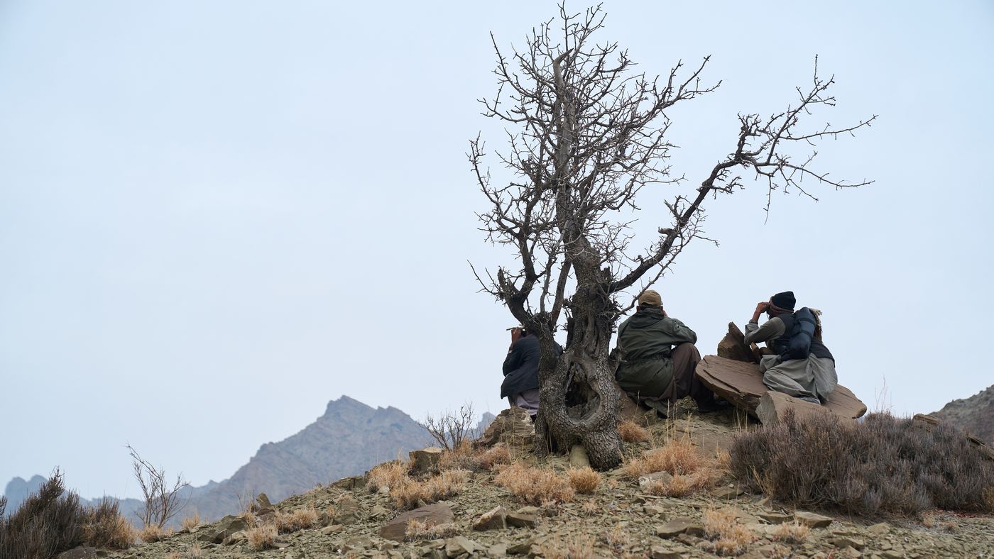 На приграничной территории