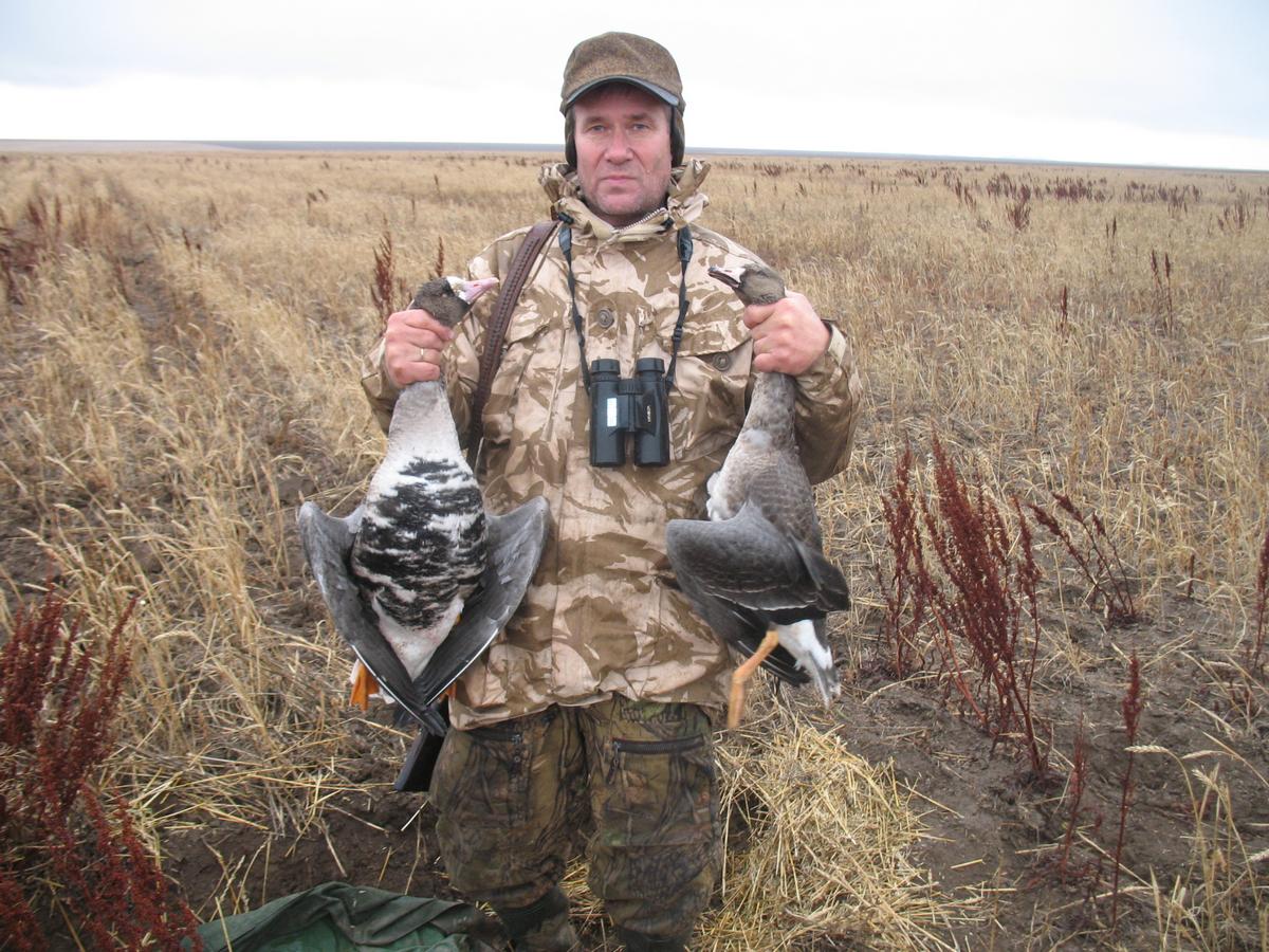правила охоты на гуся в казахстане