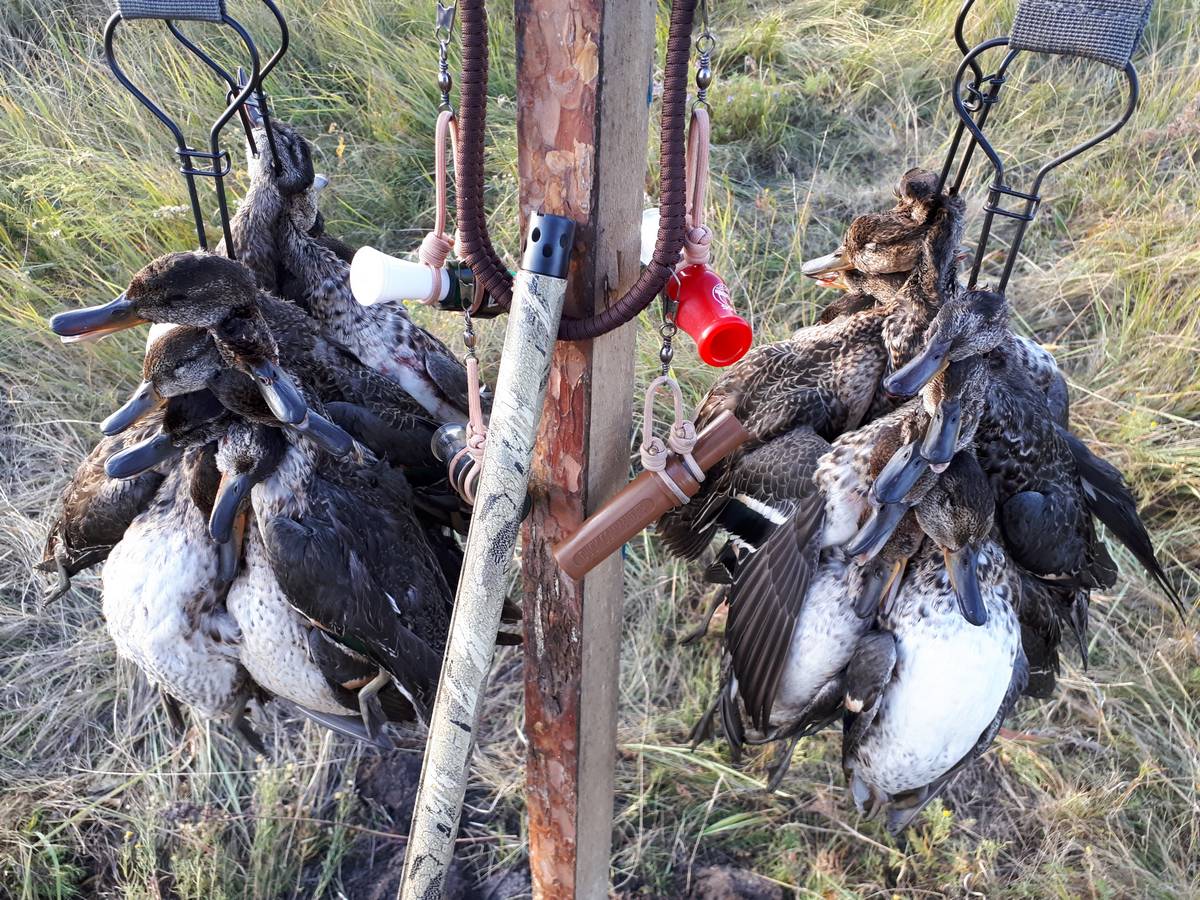 Сроки и правила охоты в охотничьих угодьях Омской области
