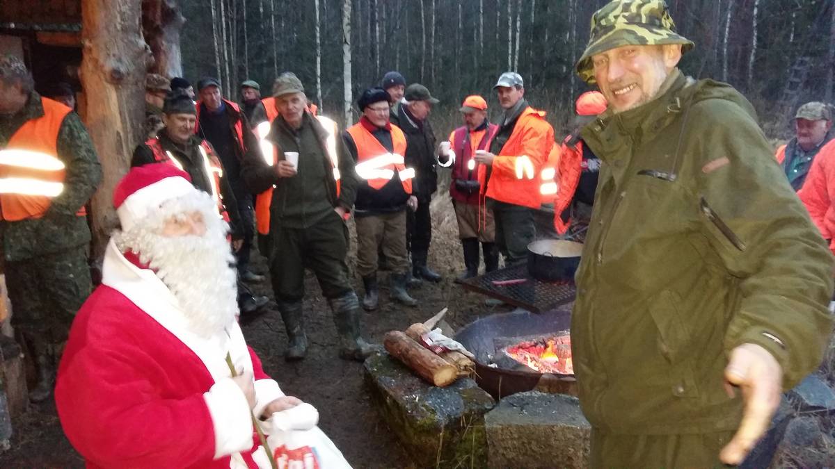 Дед Мороз и зайцы, или Новый год в лесу