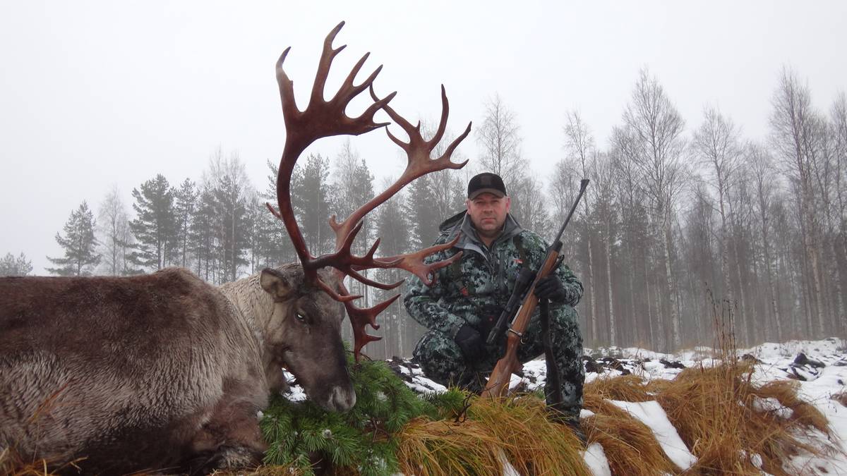 охота на оленей в финляндии