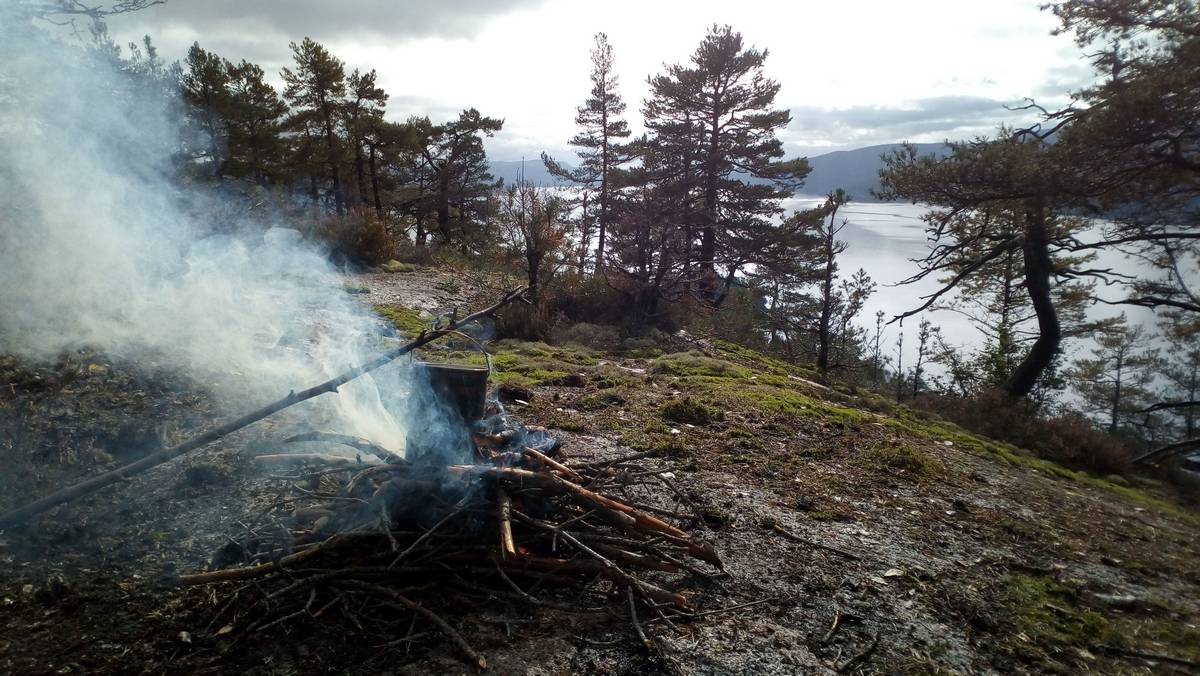 Норвегия: Охотник ли я, или прогуляться с ружьём вышел?