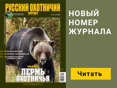 Баннер журнала мобильный