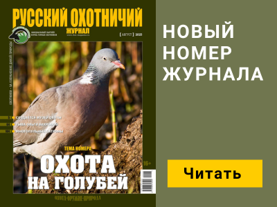 Баннер журнала мобильный