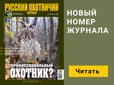 Баннер журнала мобильный
