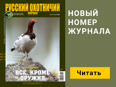 Баннер журнала мобильный