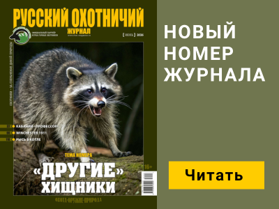 Баннер журнала мобильный