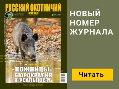 Баннер журнала мобильный