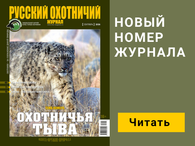 Баннер журнала мобильный