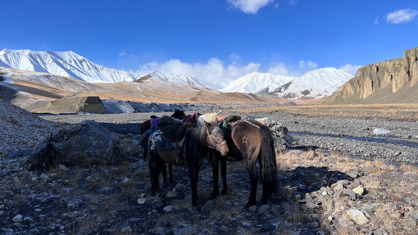 По следам козерога: трофейная охота в Киргизии
