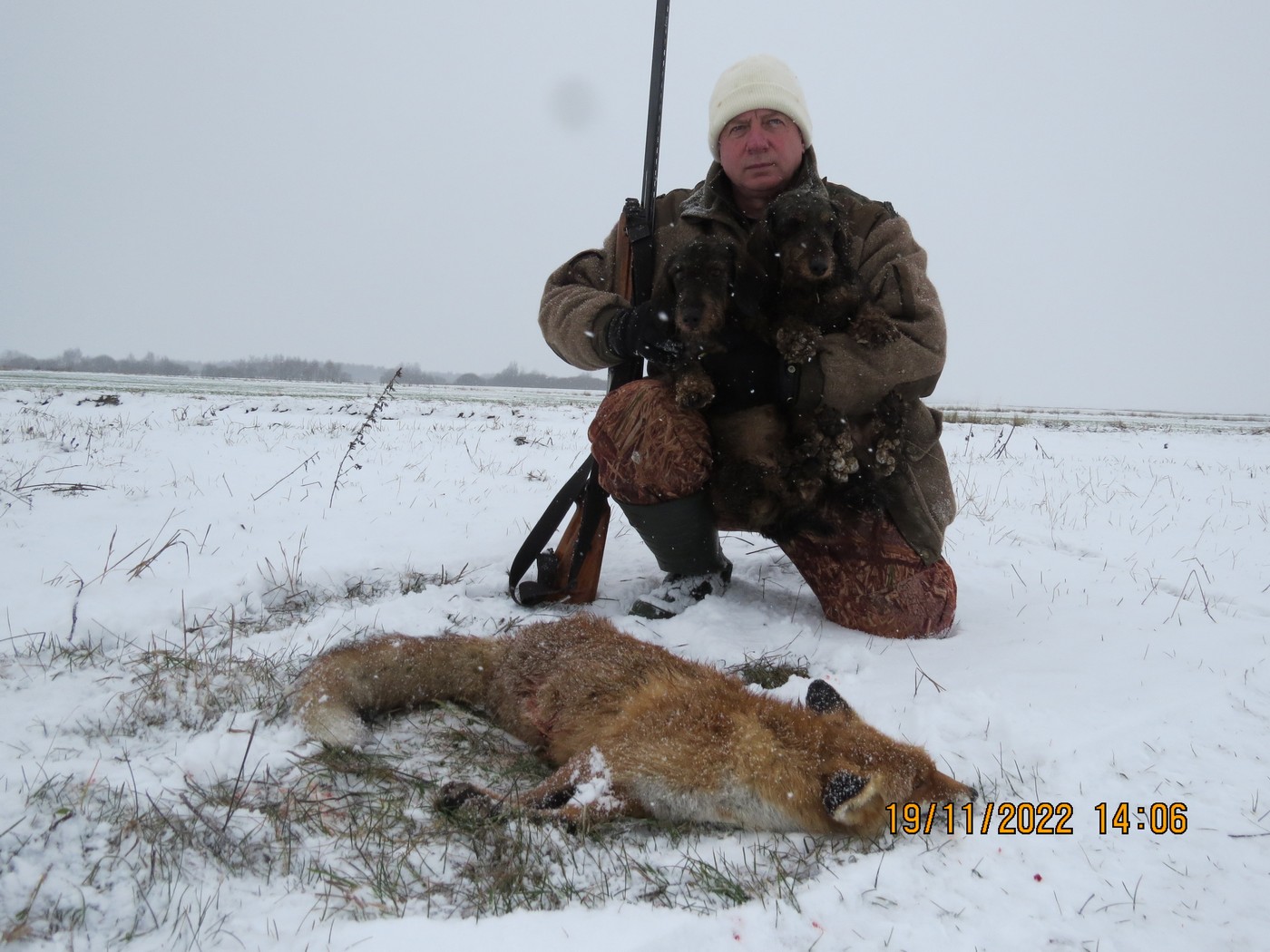 Охота на лису: c норными в стогах