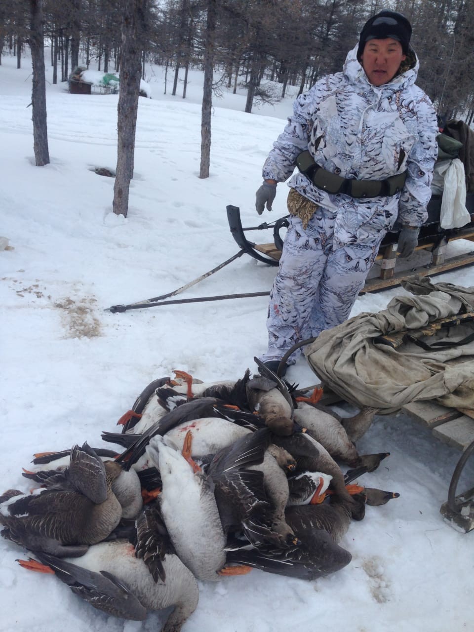 Как быть с весенней охотой в Якутии?