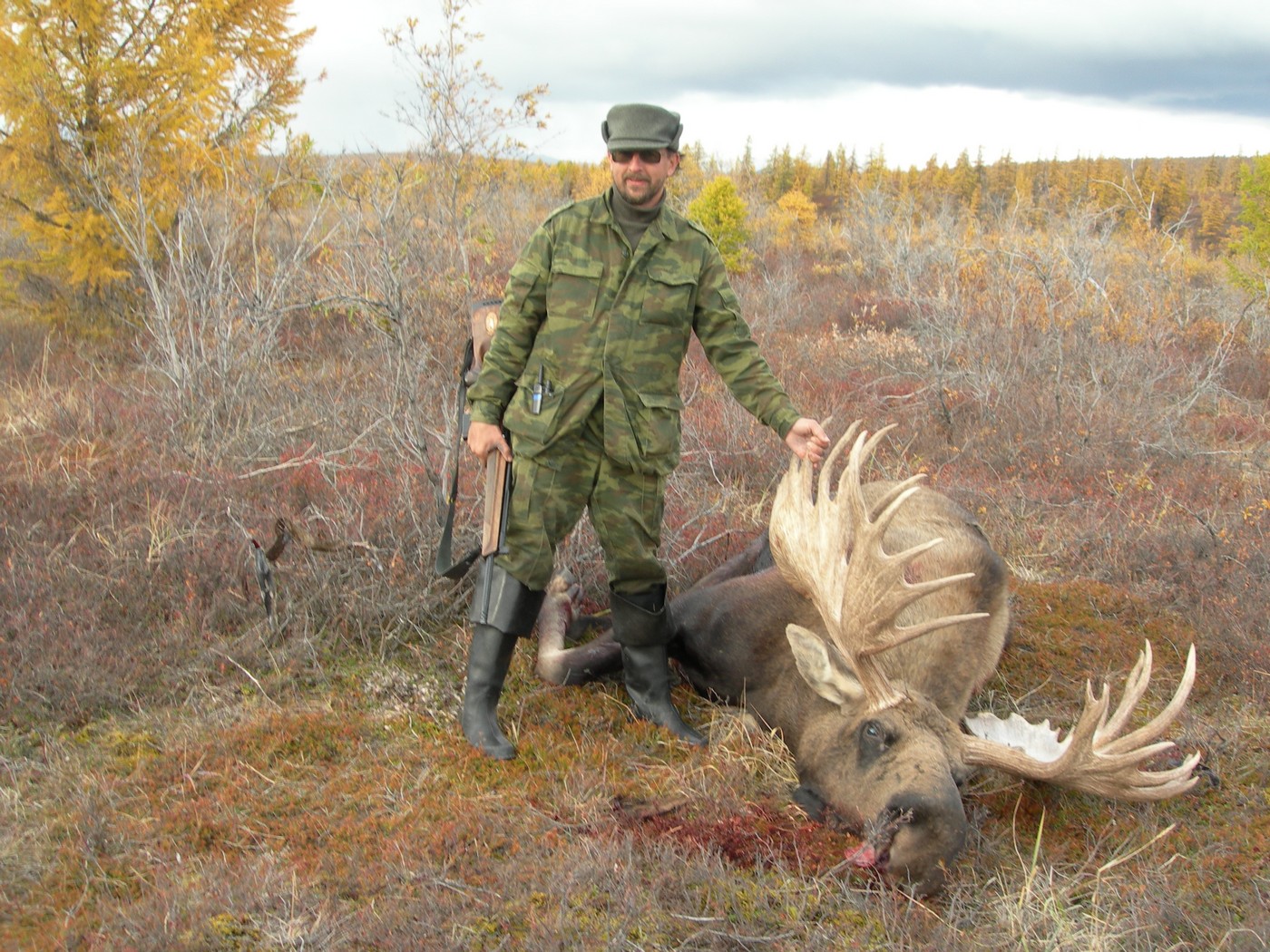 Сроки охоты новгородская область 2024. Охота в 2021 году.