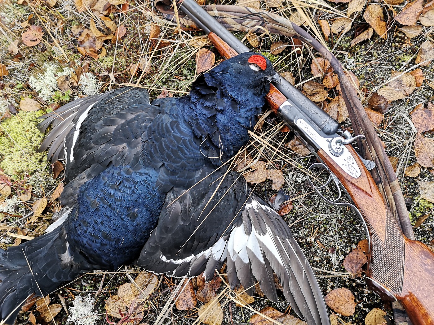 Нож на охоте