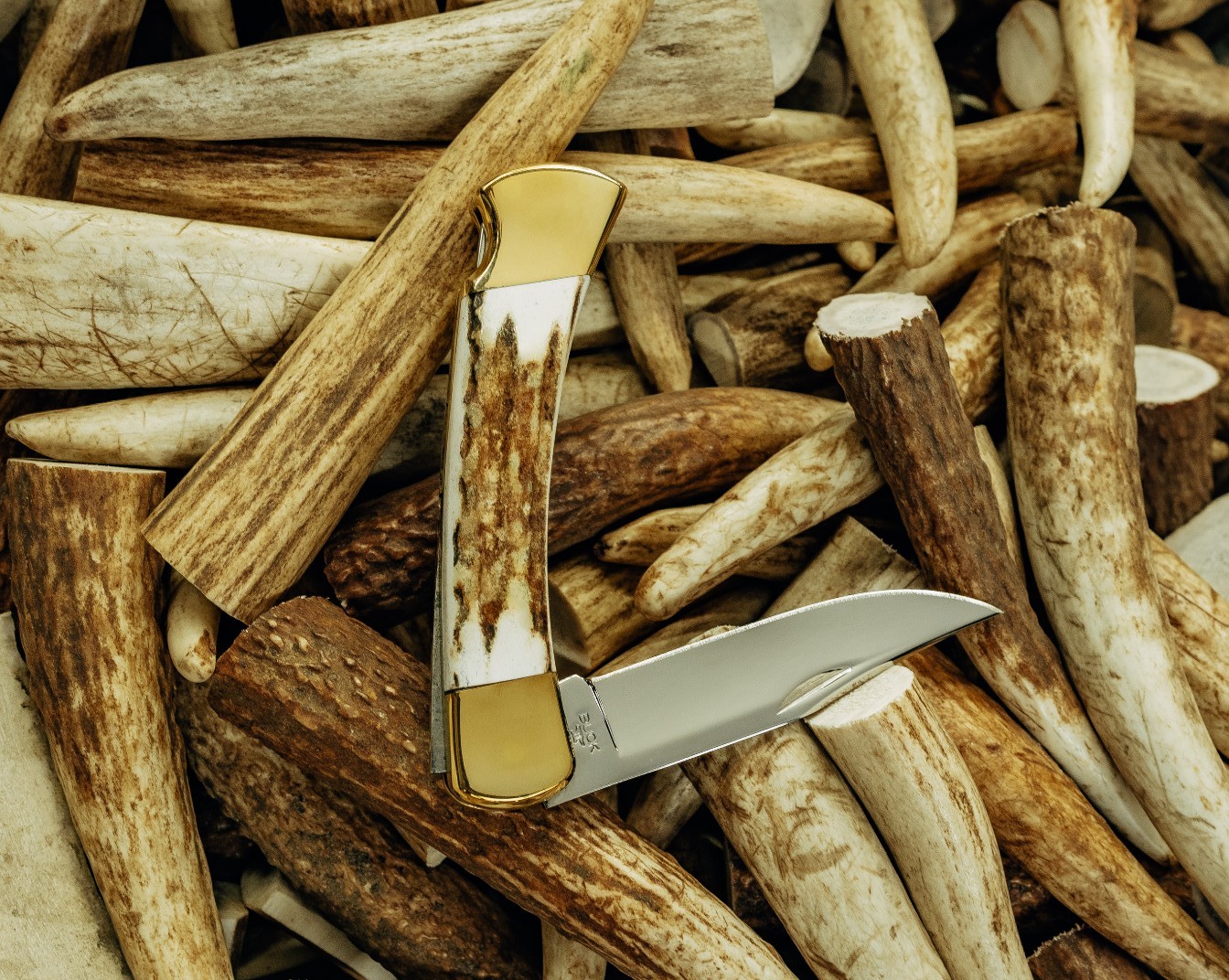 Buck – символ качества