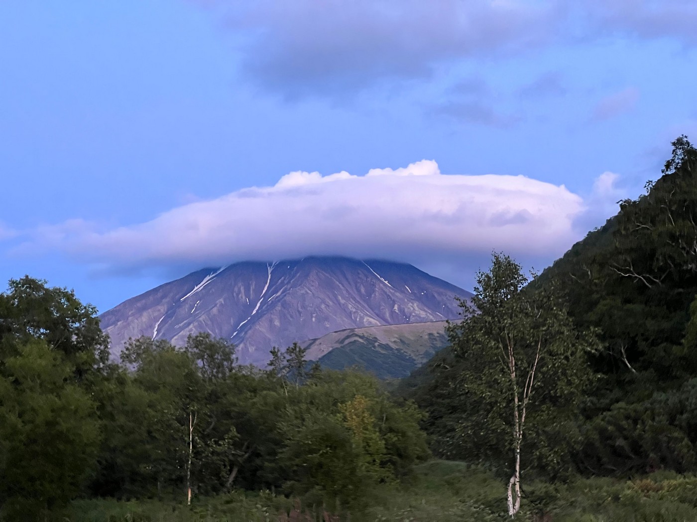 Снежные бараны России. Часть 3. За камчатским снежным бараном