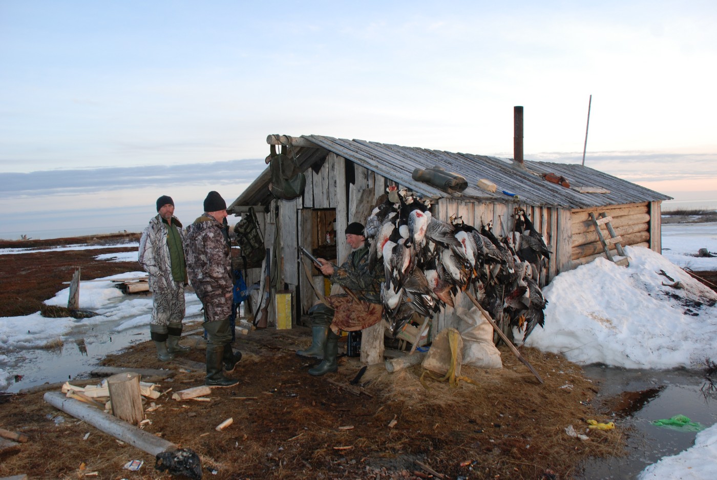 Архангельская область: гуси, промысел и северный олень