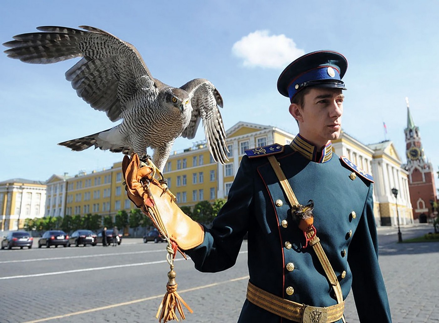 Ловчие птицы над Кремлём