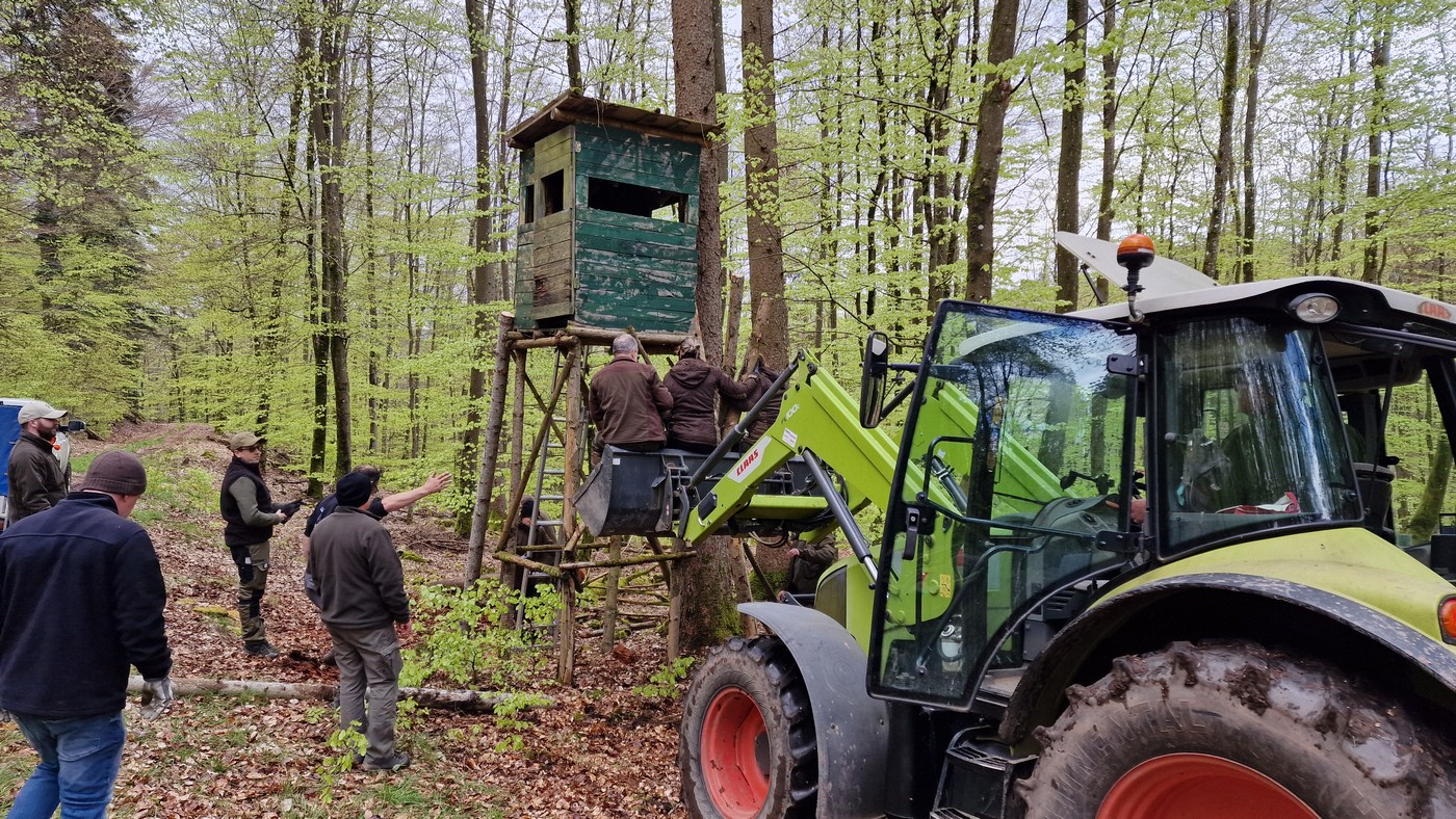 Получение охотбилета в Германии