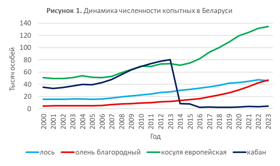 Симбиотическая охота. Въездная охота в Республику Беларусь и чем это удобно для российских охотников