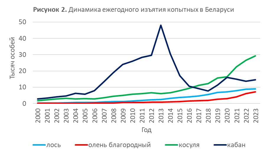 Симбиотическая охота. Въездная охота в Республику Беларусь и чем это удобно для российских охотников