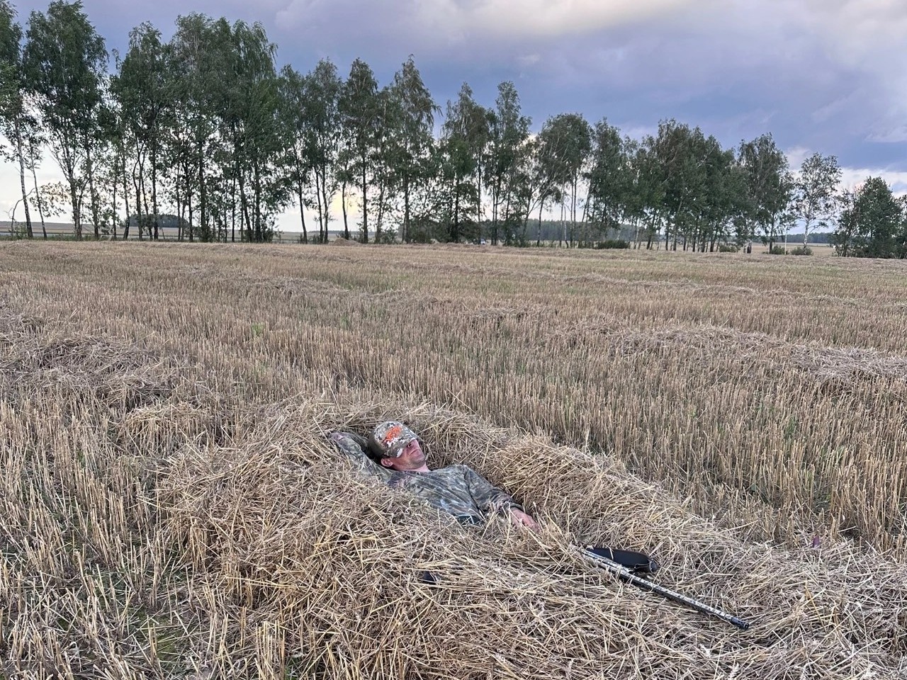 На голубиных перелётах