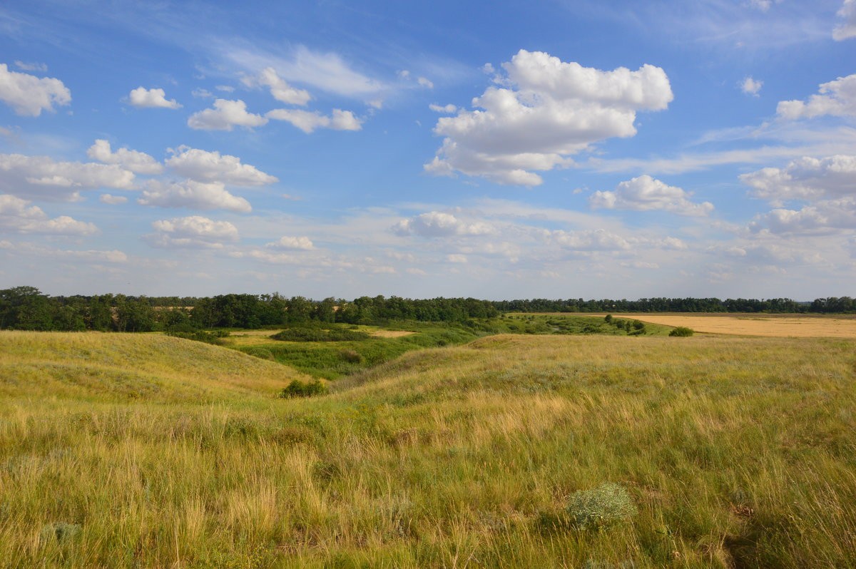 Легендарные клинки Кавказа