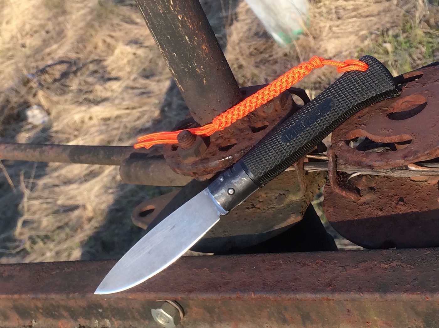 Листья острые с добычею кружатся…