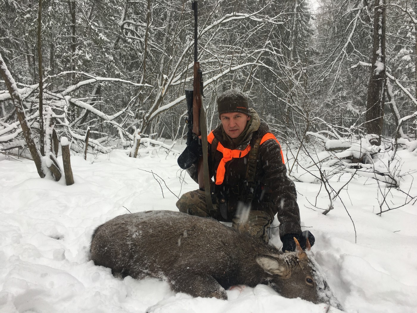 Листья острые с добычею кружатся…