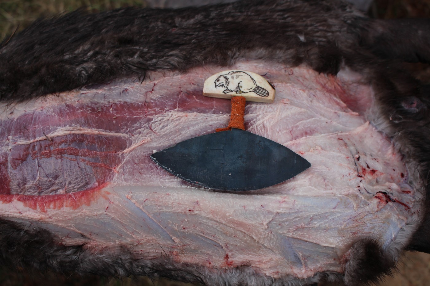 Нож улу, или Как каменный скребок стал ножом