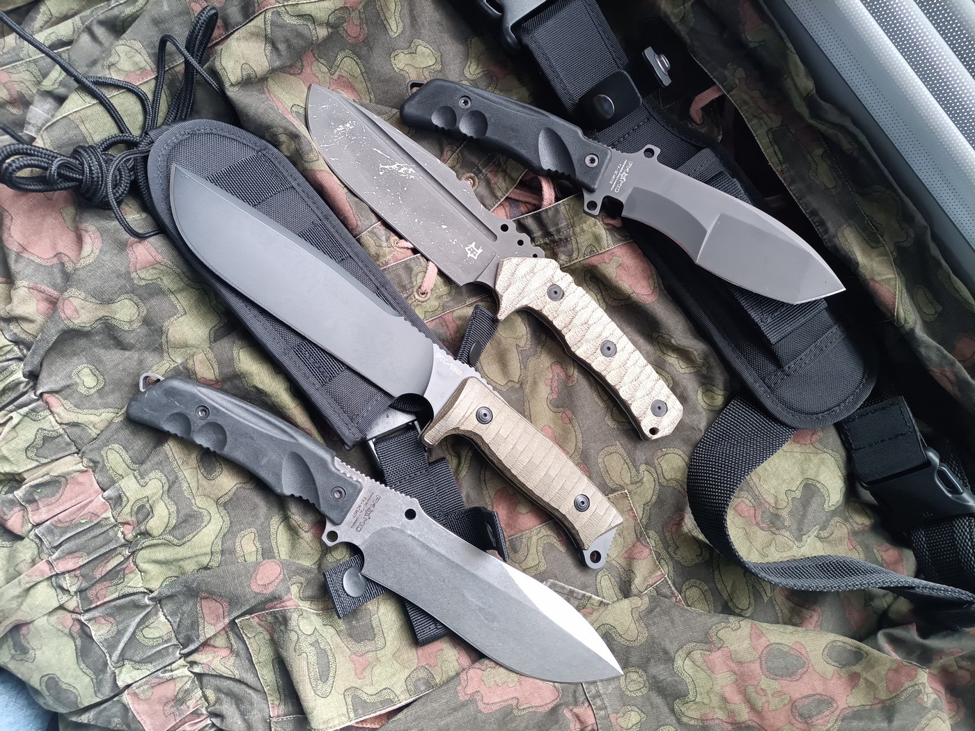 Fox Group: мудрый прищур итальянского лиса