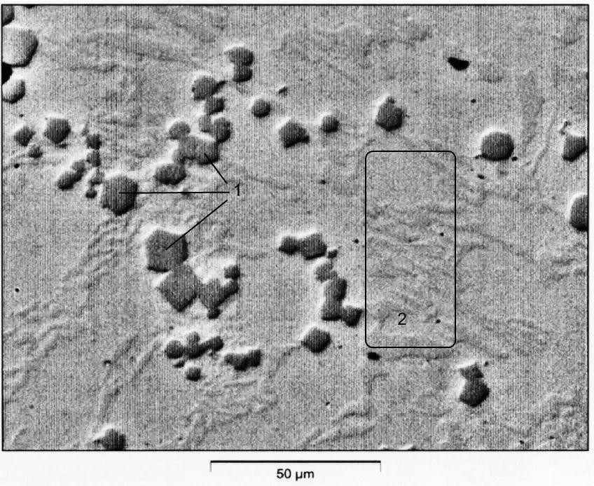Карбиды в сталях: карбиды и карбонитриды типа M(C,N)