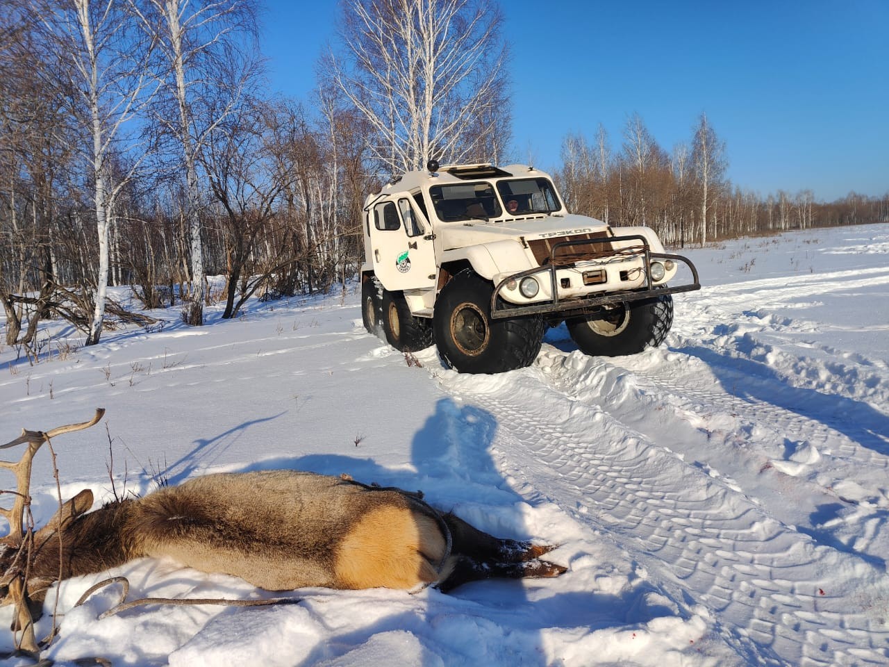 Зимний транспорт в коммерческих охотхозяйствах