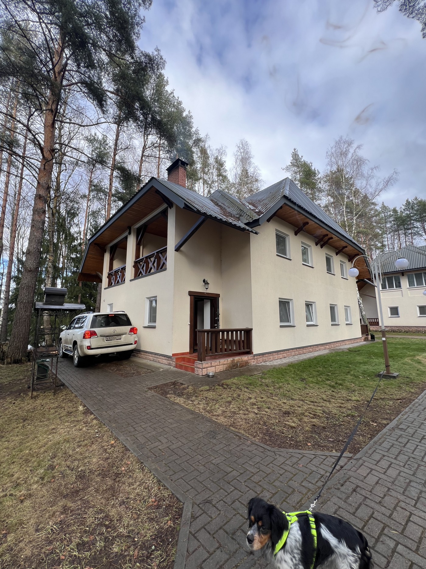 Гусь в братской Республике Беларусь