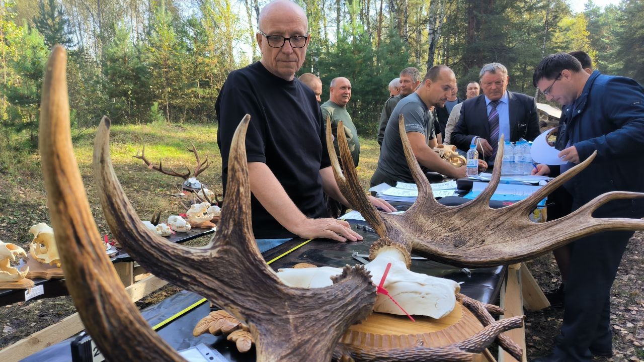Российские охотничьи трофеи: системный подход