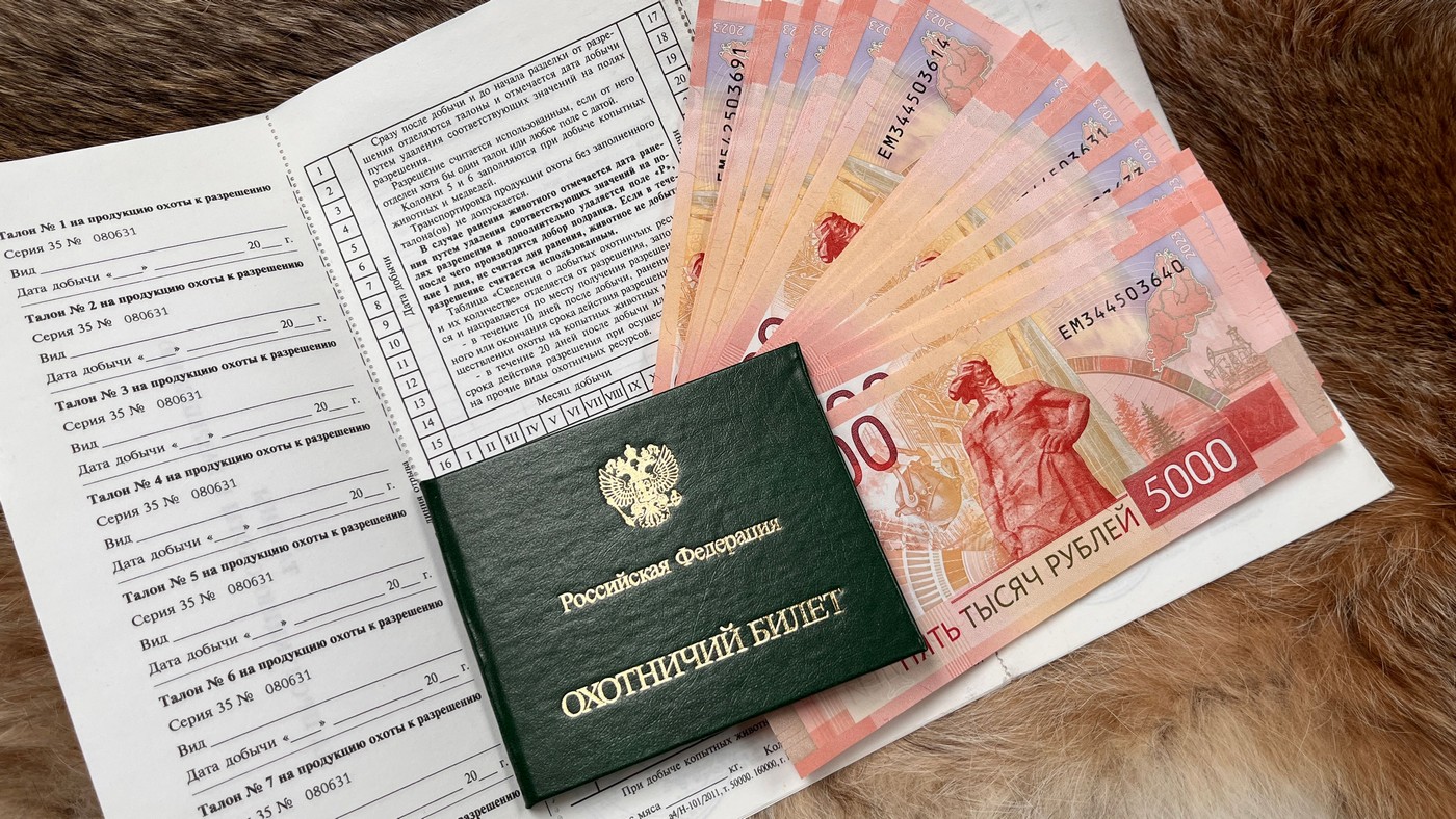 Кое-что о налогах и сборах
