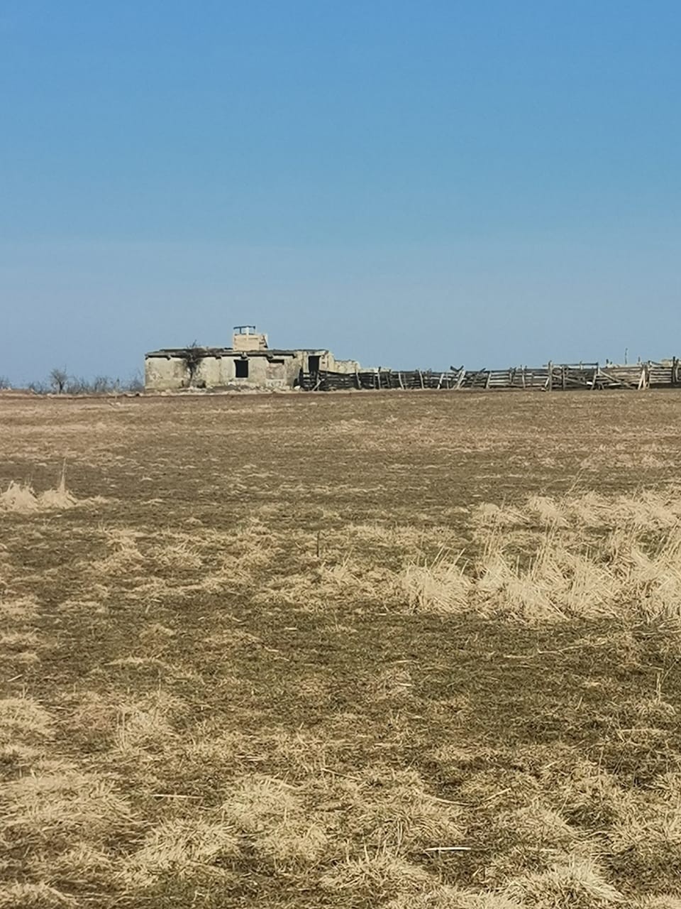 Расколдованный волк