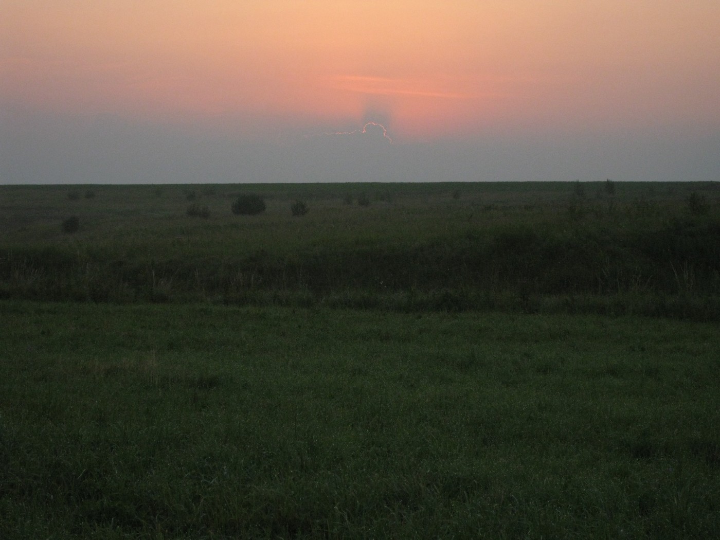 За дупелем