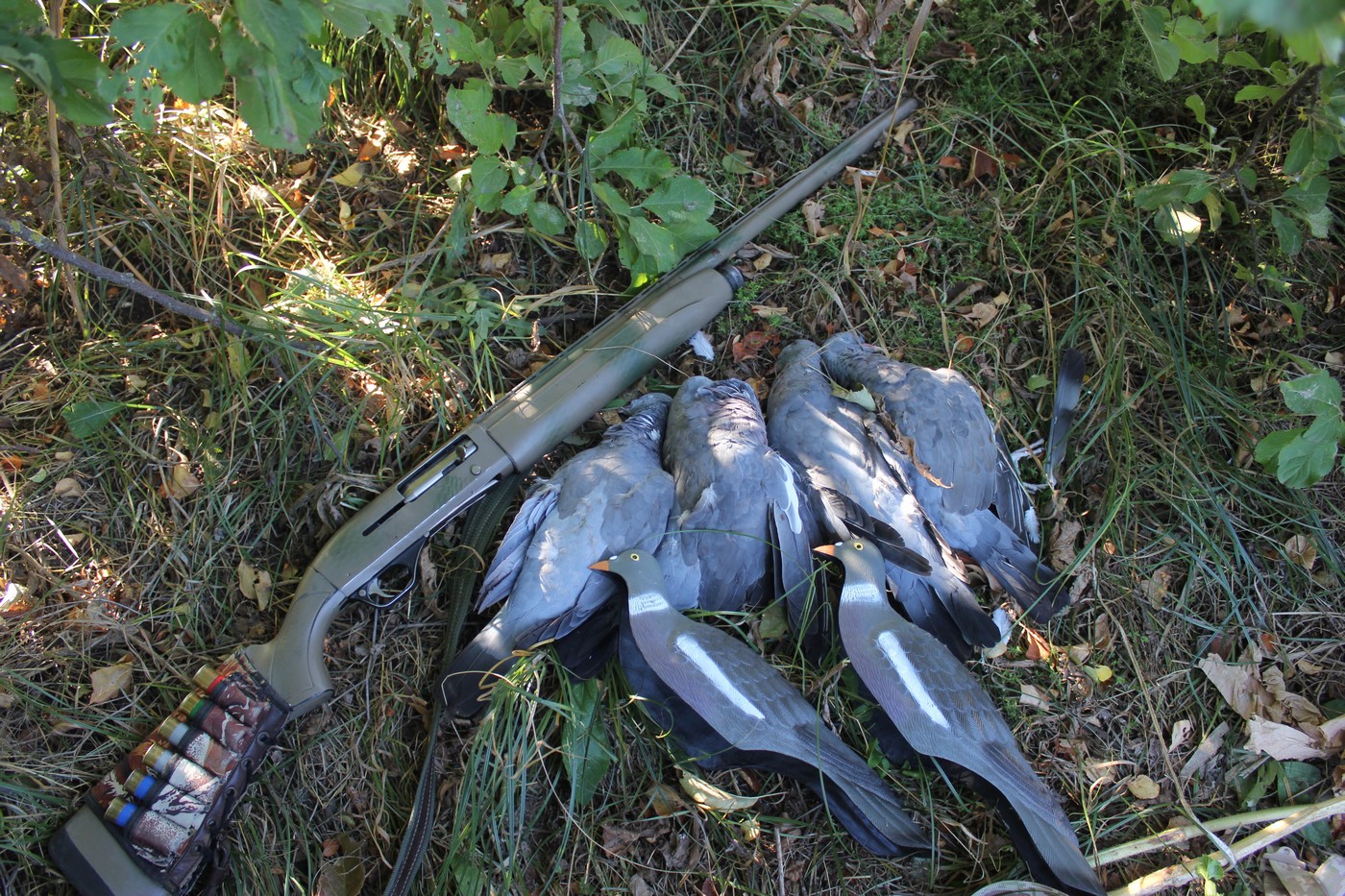 Два «поля» в одно утро