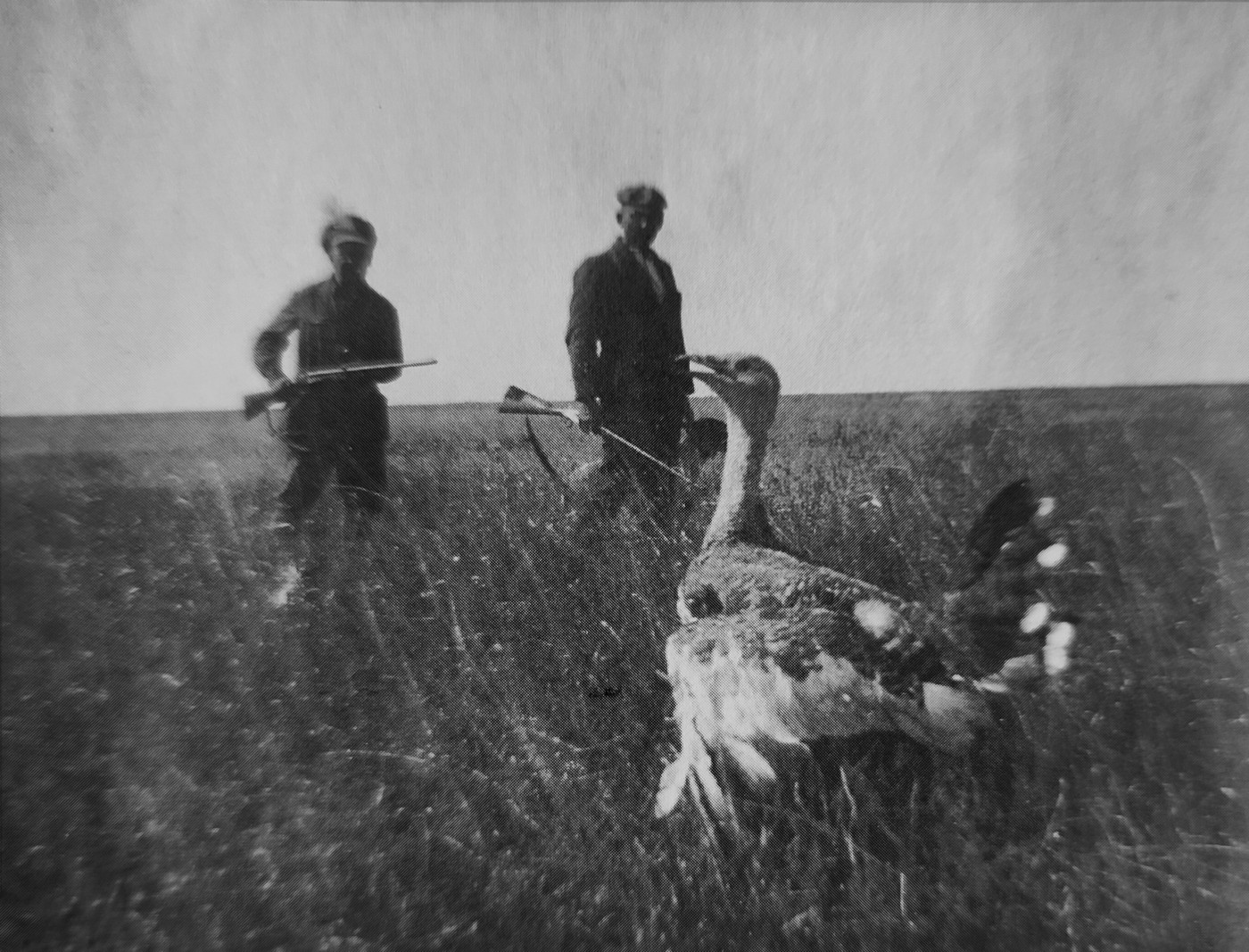 «Восстание слова, подлинного и первичного». О жизни и творчестве Валериана Правдухина