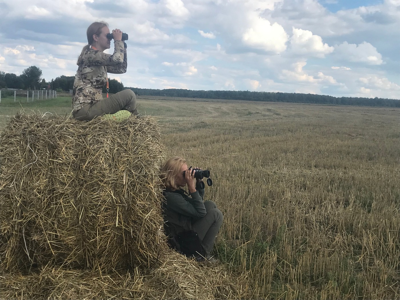 Принципы охоты на вяхиря