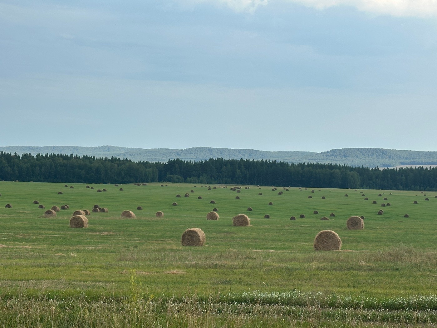 Красноярский край