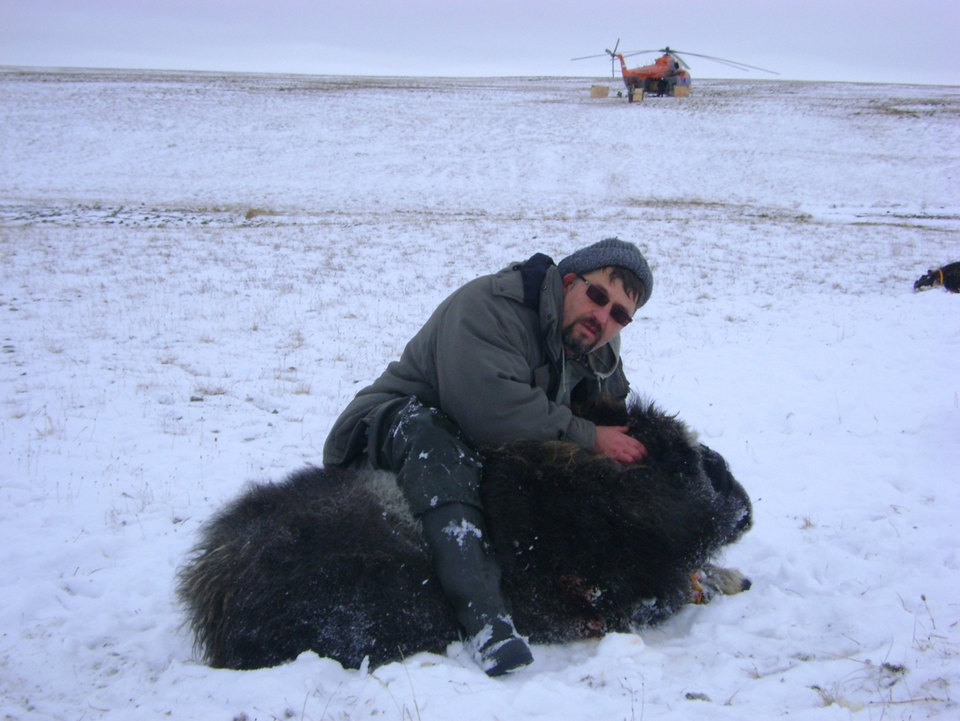 Полезный симбиоз: учёные + охотники или охотники + учёные