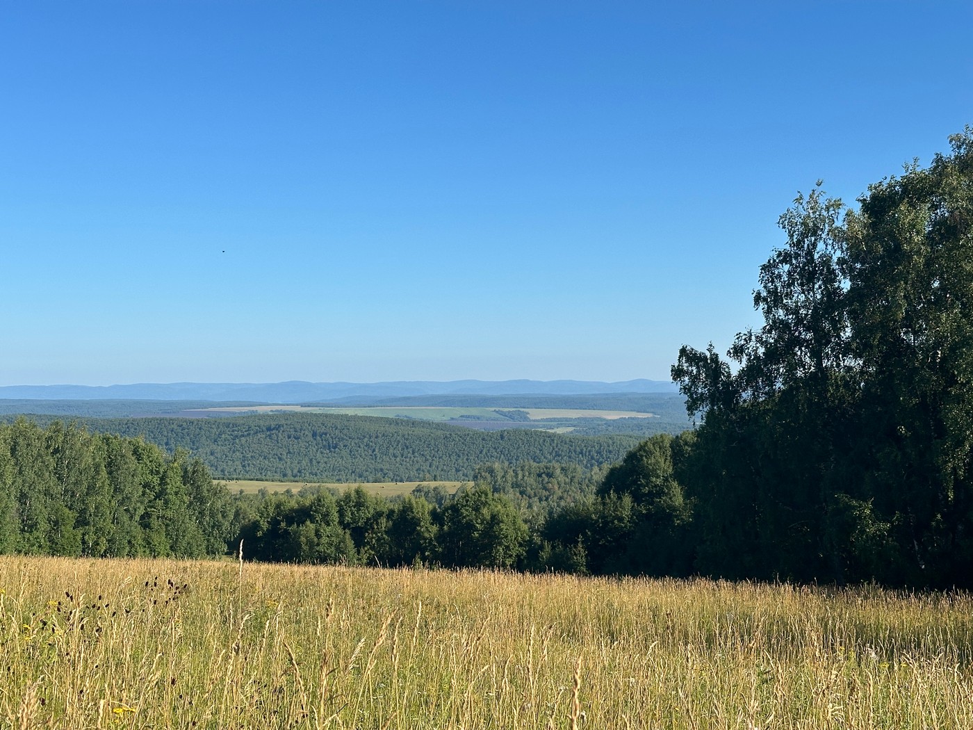 Юг Красноярского края