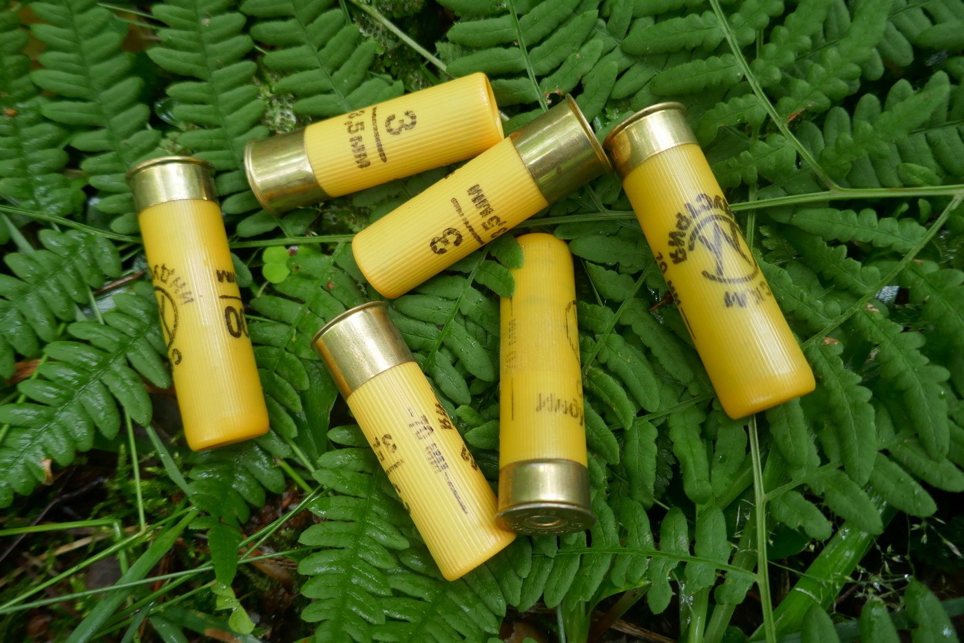 А цены летят, словно птицы летят…