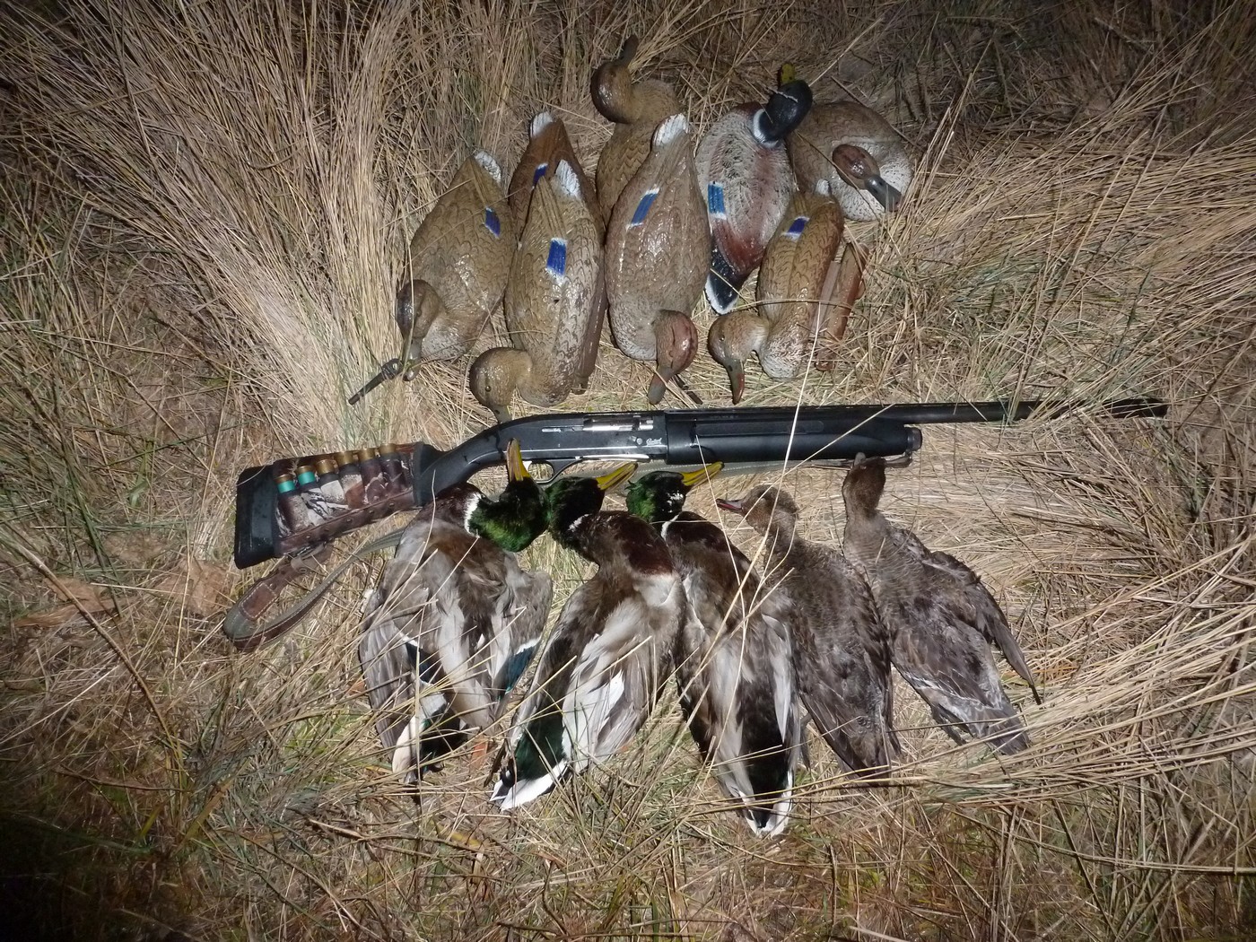 Чучела для охоты на утку: немного истории и современная практика