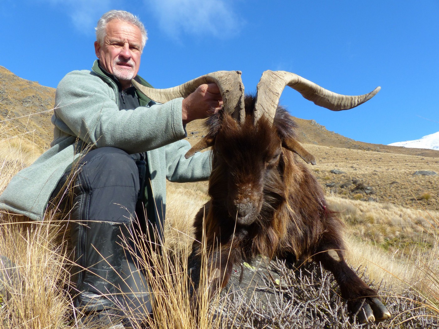 О визитной карточке КГО. Интервью с Сергеем Ястржембским
