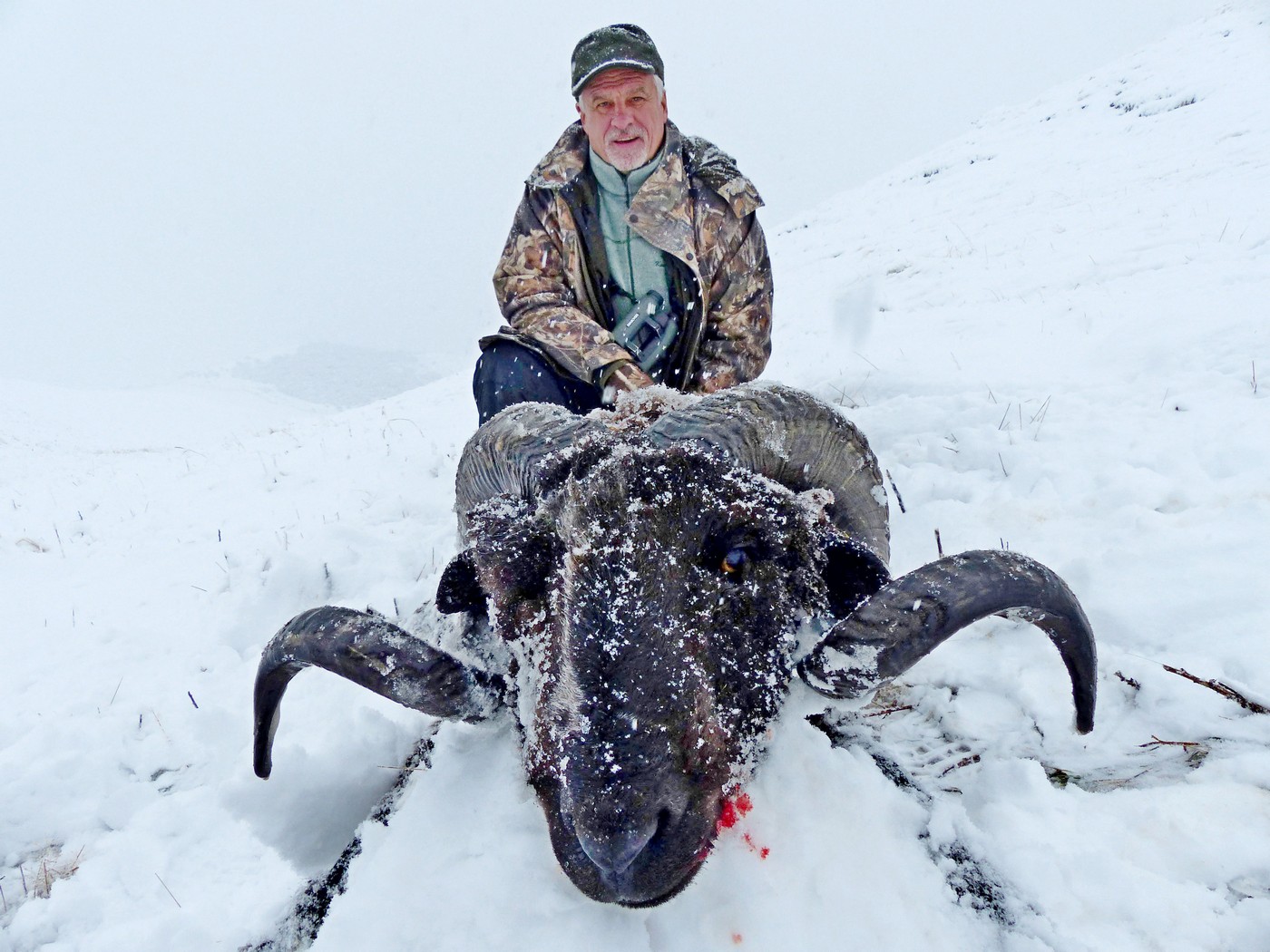 О визитной карточке КГО. Интервью с Сергеем Ястржембским