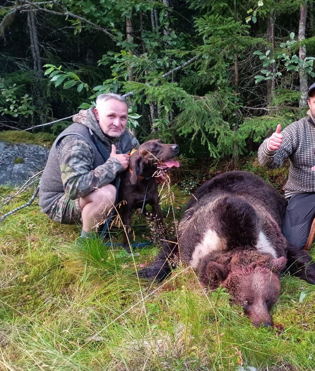 Приключения плоттов в России. Продолжение