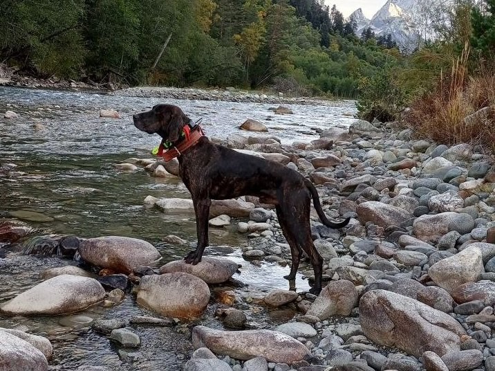 Приключения плоттов в России. Продолжение
